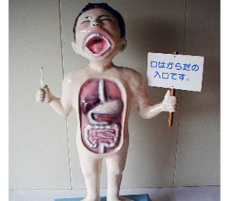 bsimg09.jpg